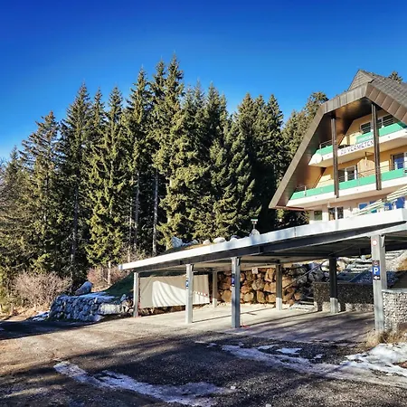 Alpenloft Vom Berg Zum Inklusive Gratis Kaerntencard Appartement
