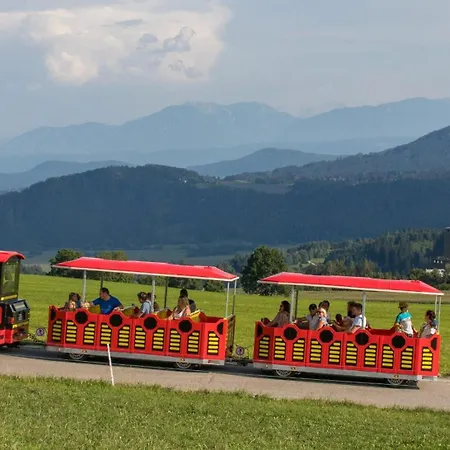 Appartement Alpenloft Vom Berg Zum Inklusive Gratis Kaerntencard
